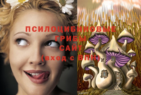 мефедрон Алексеевка