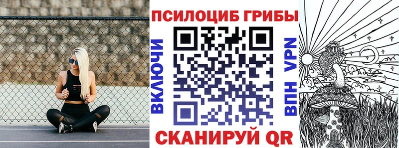 где продают   Наволоки  Псилоцибиновые грибы GOLDEN TEACHER 
